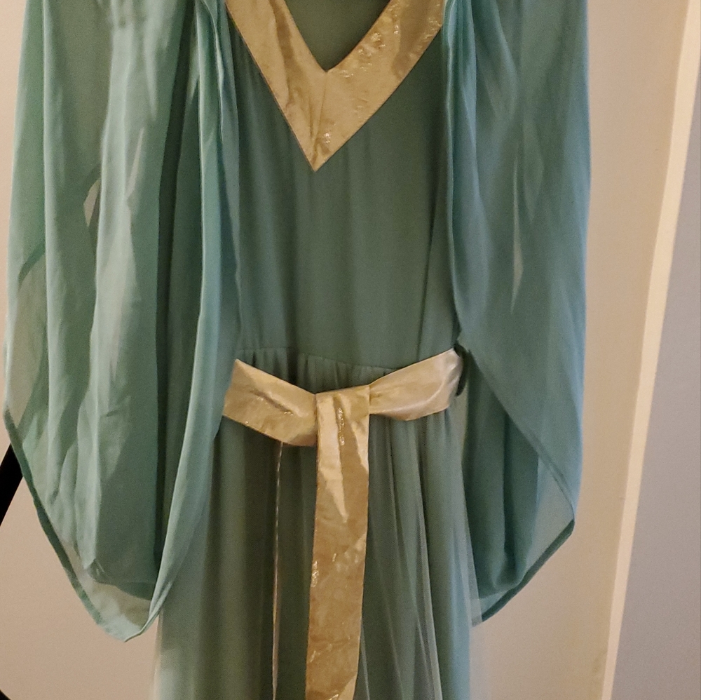 Dress - Picture 3 of 3